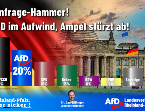 AfD im Aufwind, Ampel stürzt ab!