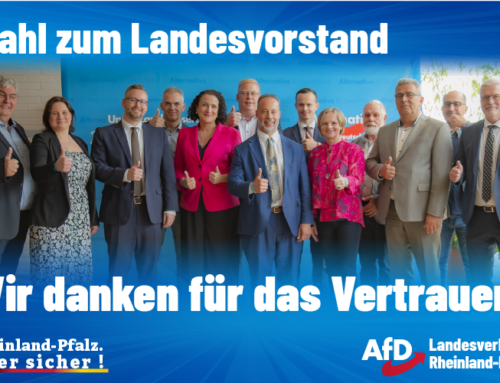 AfD wählt neuen Vorstand