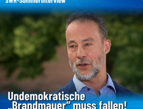 Jan Bollinger im SWR-Sommerinterview