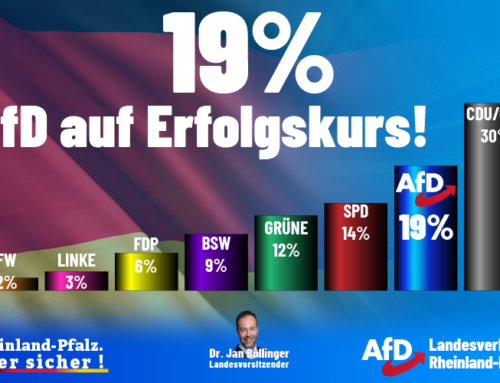 19% – AfD auf Erfolgskurs!