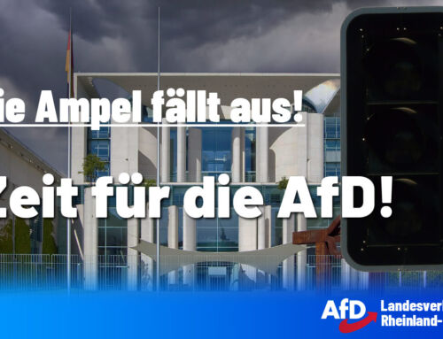 Ampel fällt aus – Zeit für die AfD!