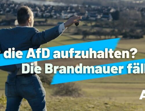 AfD Punkte im Jahr 2025