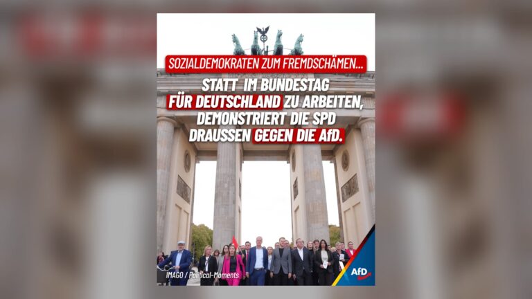 SPD-Fraktion im Bundestag demonstriert gegen AfD